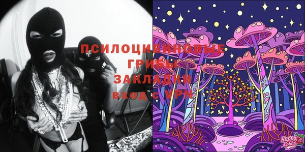 прущие грибы Нязепетровск