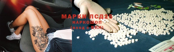 прущие грибы Нязепетровск