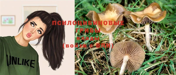 соль курить ск Гусиноозёрск