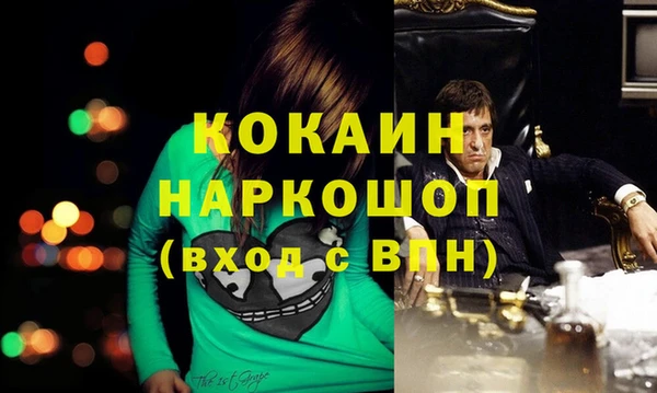 прущие грибы Нязепетровск