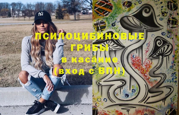 экстази Гусь-Хрустальный